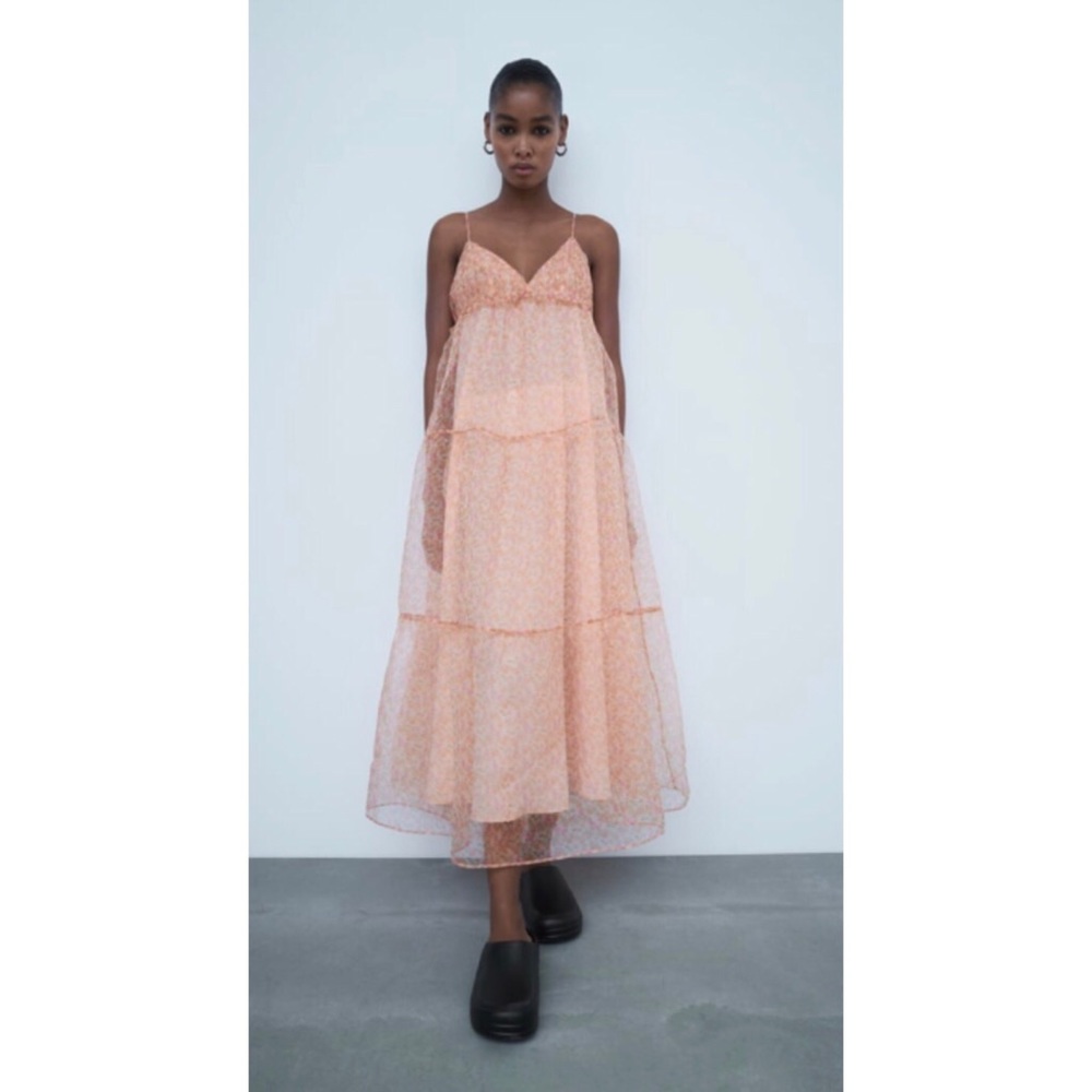 NWT Zara Organza Floral Dress